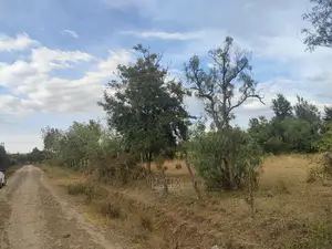 1 Acre Chaka/Narumoru Highway /Ndiriti