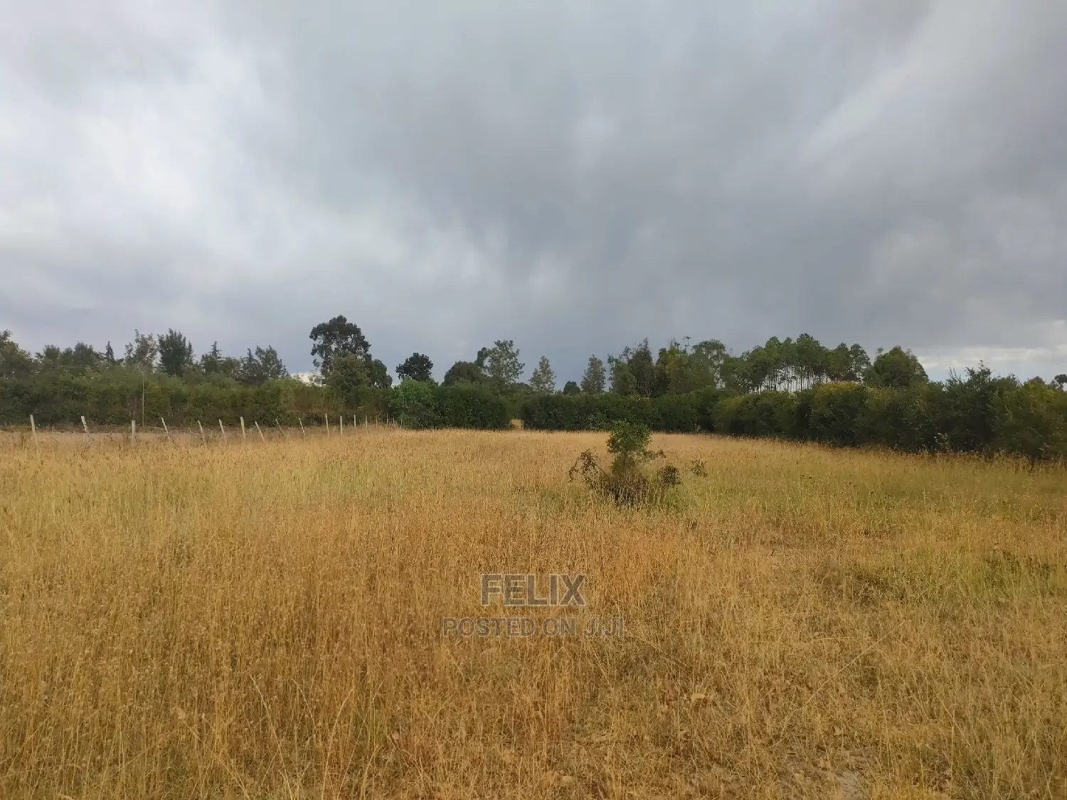 1 Acre Chaka/Narumoru Highway /Ndiriti