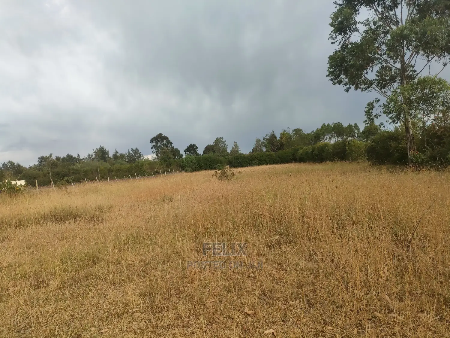1 Acre Chaka/Narumoru Highway /Ndiriti