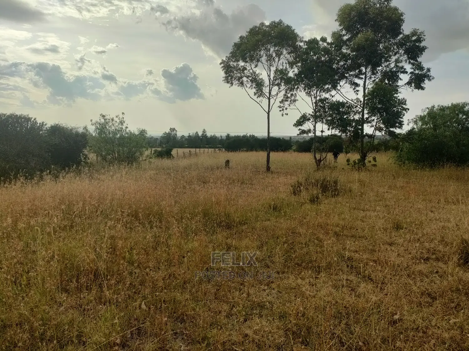 1 Acre Chaka/Narumoru Highway /Ndiriti