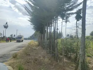 Narumoru/Kaburaini Half Acre Touching Main Tarmac