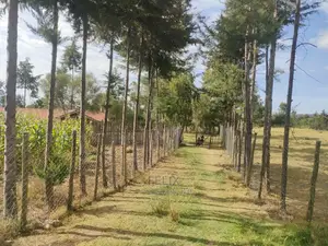 Narumoru/Kaburaini Half Acre Touching Main Tarmac