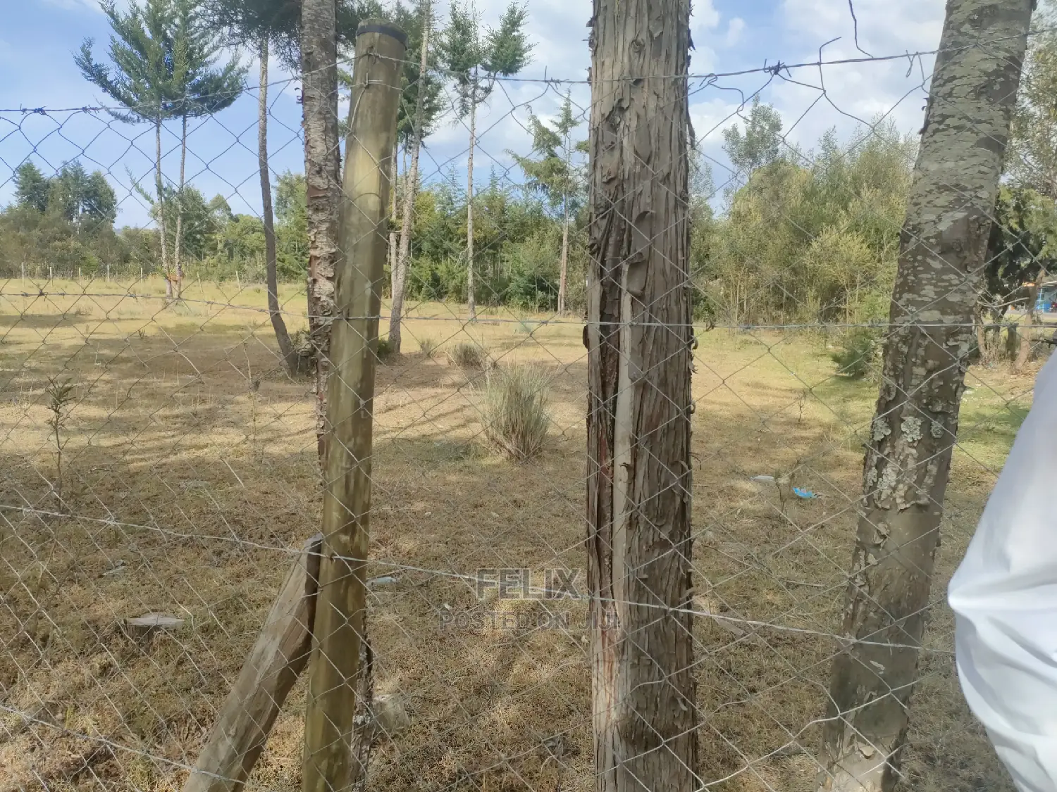 Narumoru/Kaburaini Half Acre Touching Main Tarmac