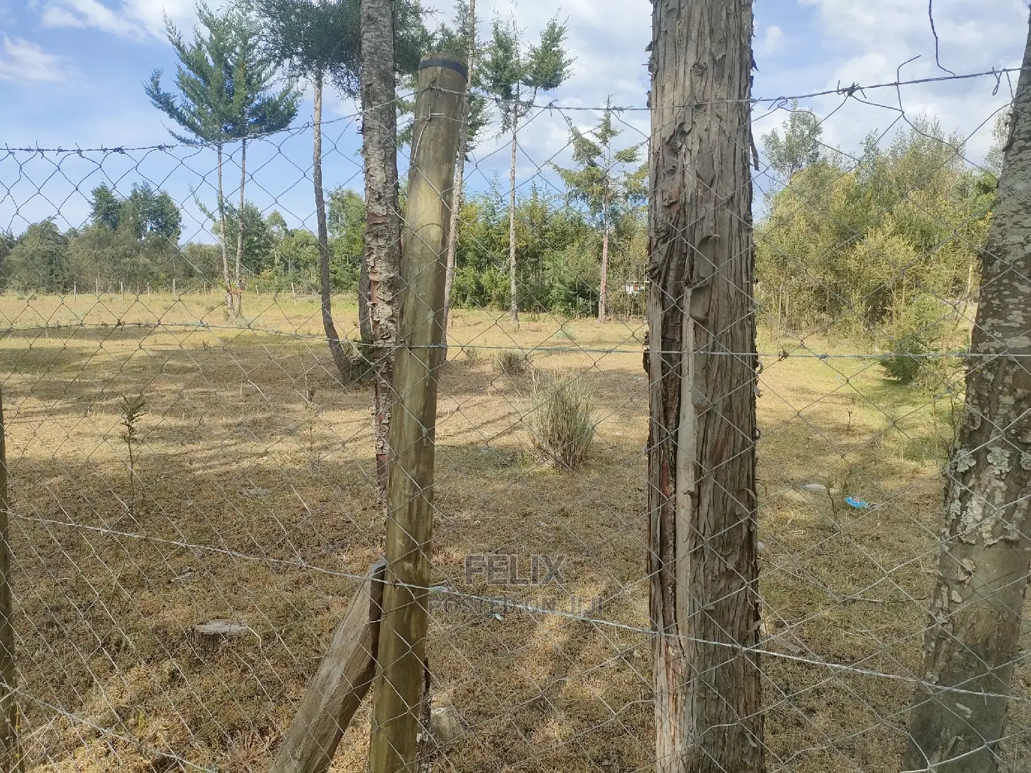 Narumoru/Kaburaini Half Acre Touching Main Tarmac