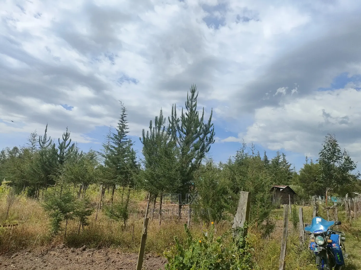 Narumoru/ Kamburaini 1/2 Acre