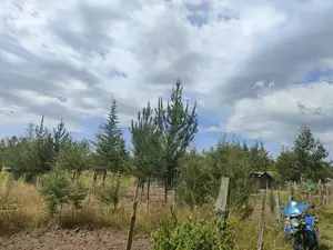 Narumoru/ Kamburaini 1/2 Acre