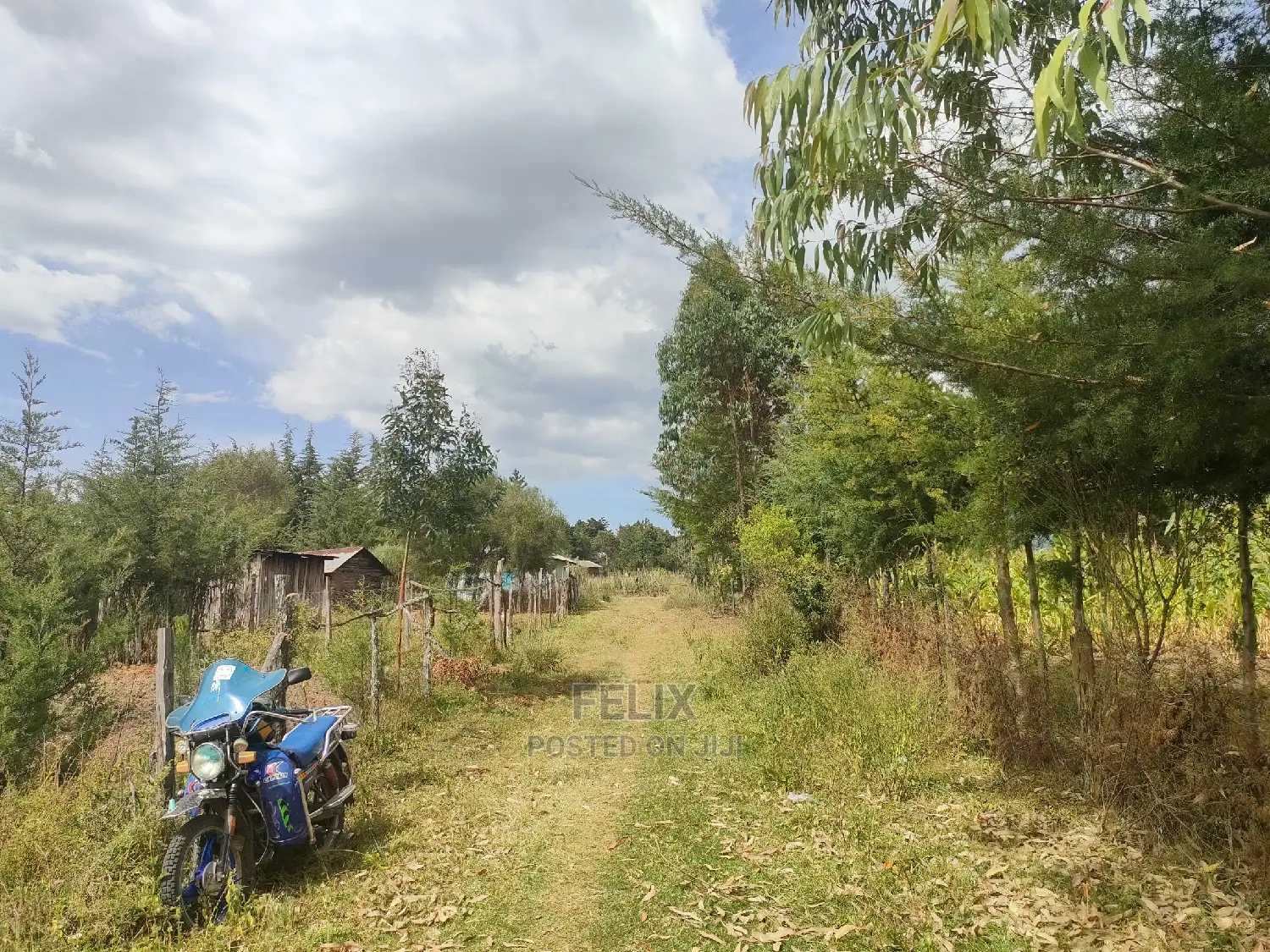 Narumoru/ Kamburaini 1/2 Acre