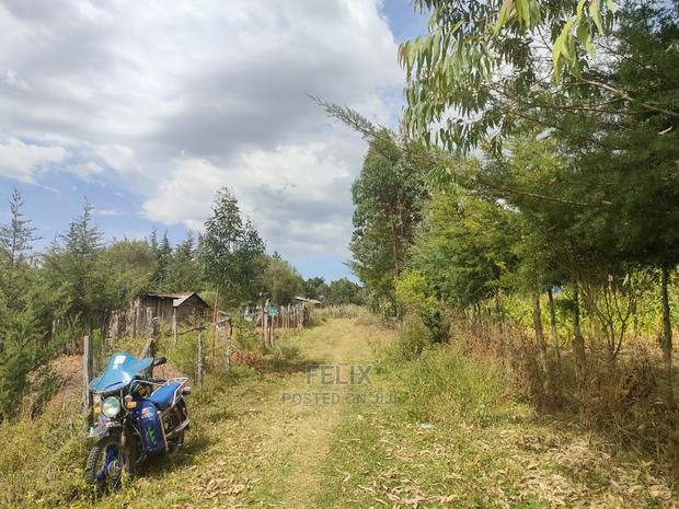 Narumoru/ Kamburaini 1/2 Acre - thumbnail 2