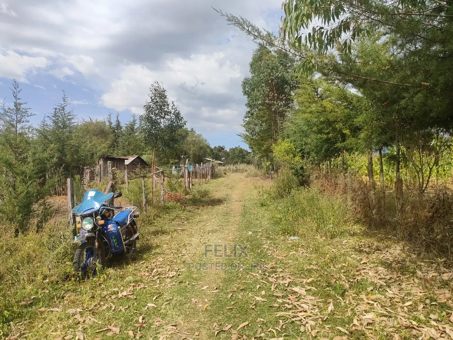 Narumoru/ Kamburaini 1/2 Acre
