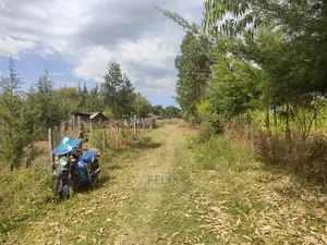Narumoru/ Kamburaini 1/2 Acre