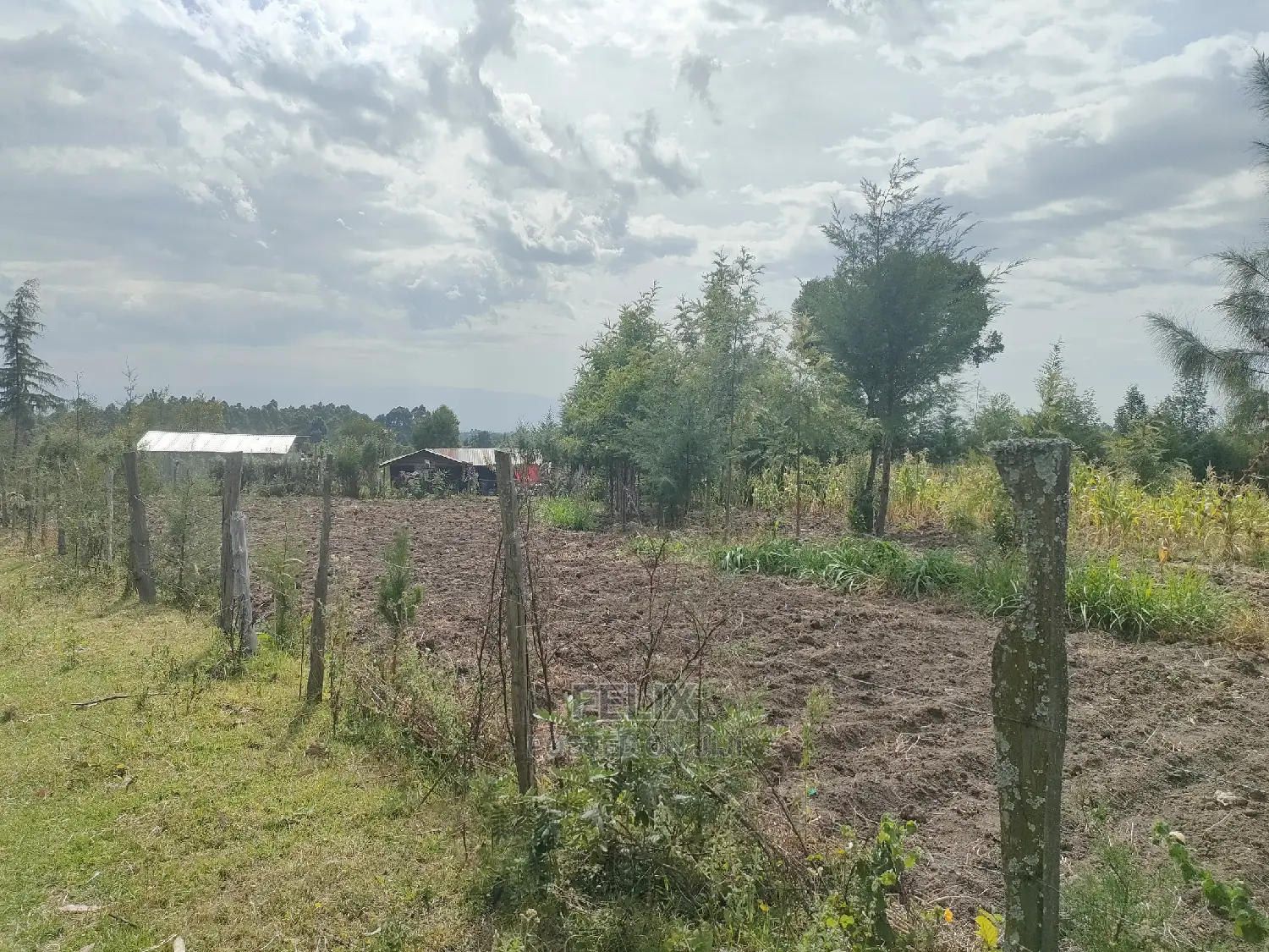 Narumoru/ Kamburaini 1/2 Acre