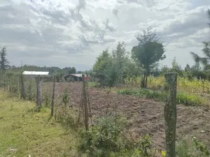 Narumoru/ Kamburaini 1/2 Acre