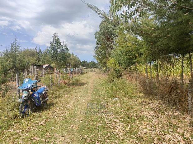 Narumoru/ Kamburaini 1/2 Acre - thumbnail 4
