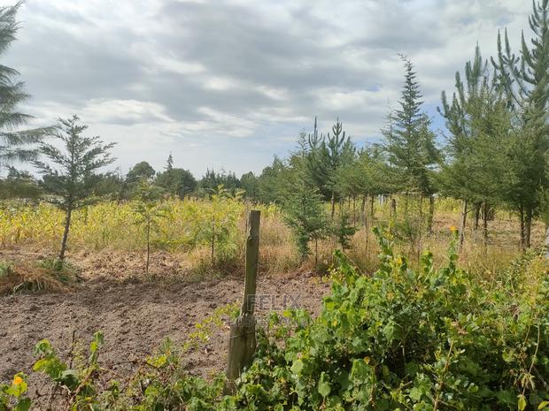Narumoru/ Kamburaini 1/2 Acre - thumbnail 6