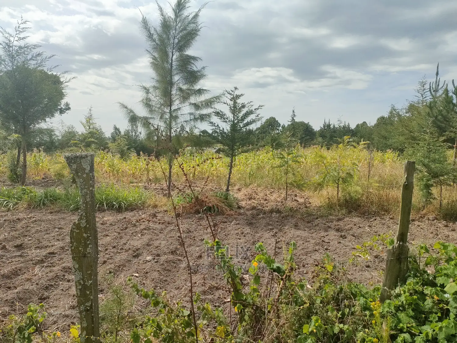 Narumoru/ Kamburaini 1/2 Acre