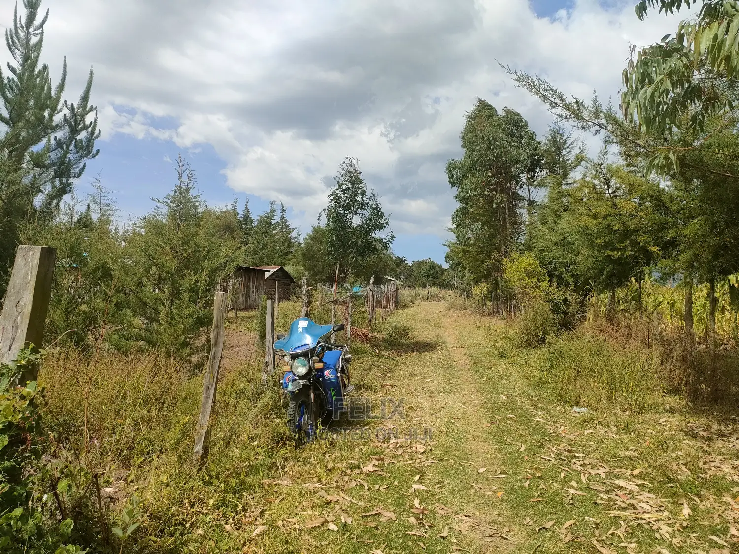 Narumoru/ Kamburaini 1/2 Acre