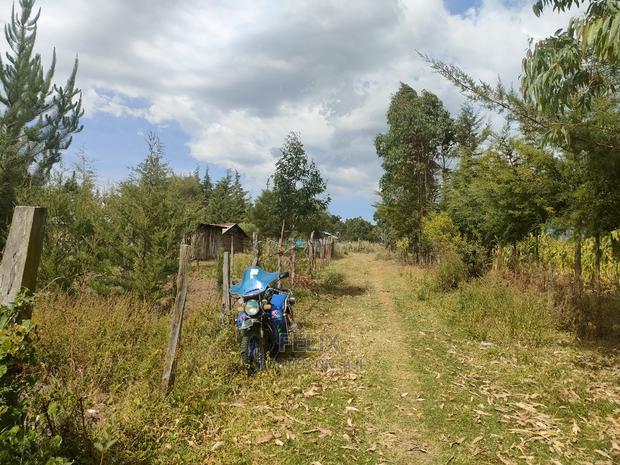 Narumoru/ Kamburaini 1/2 Acre - thumbnail 8