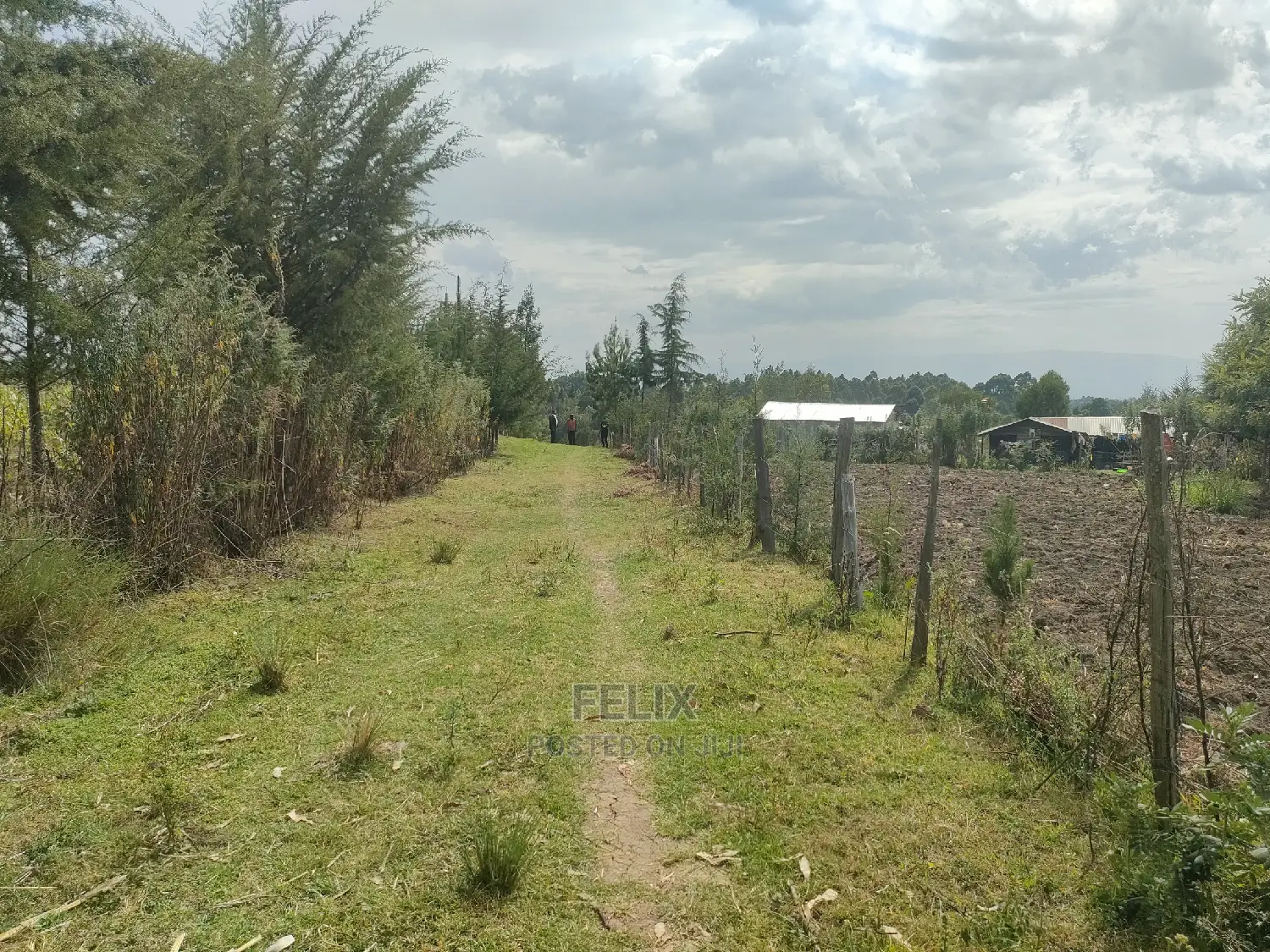 Narumoru/ Kamburaini 1/2 Acre