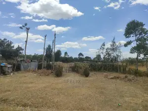 Narumoru/Ndiriti 1/2 Acre