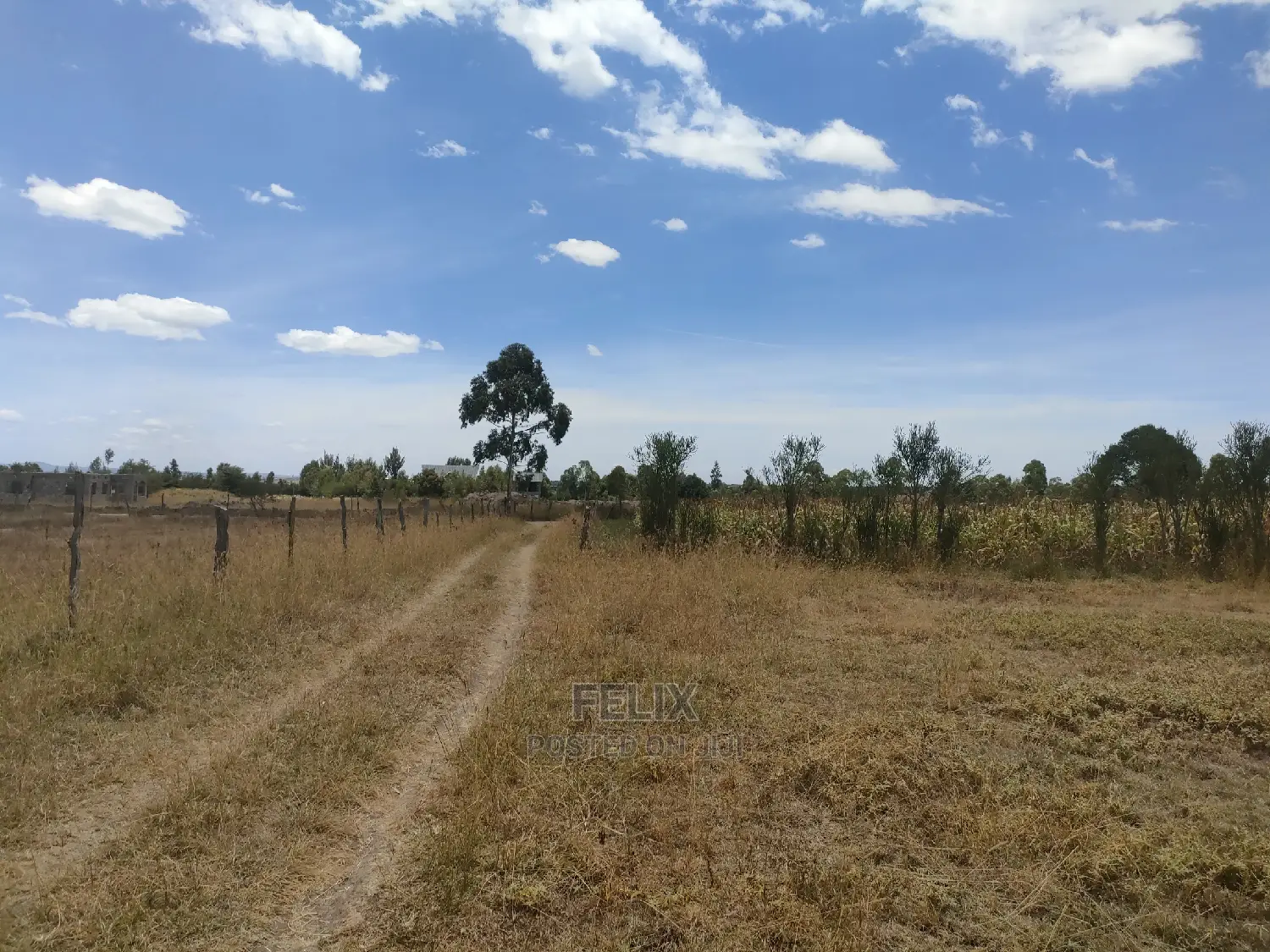 Narumoru/Ndiriti 1/2 Acre