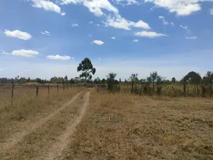 Narumoru/Ndiriti 1/2 Acre