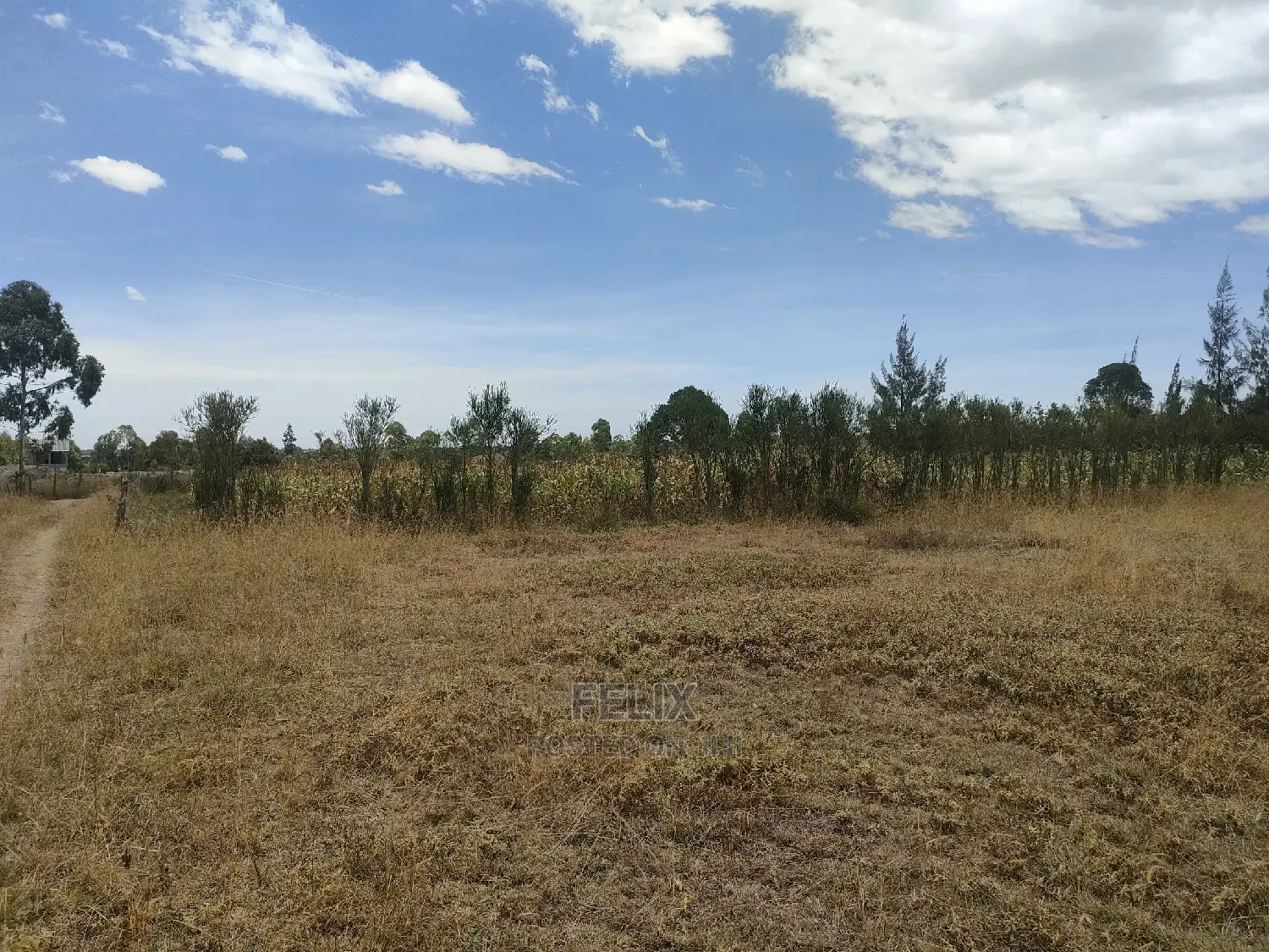 Narumoru/Ndiriti 1/2 Acre