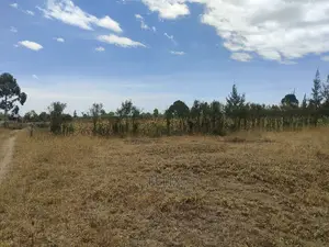 Narumoru/Ndiriti 1/2 Acre