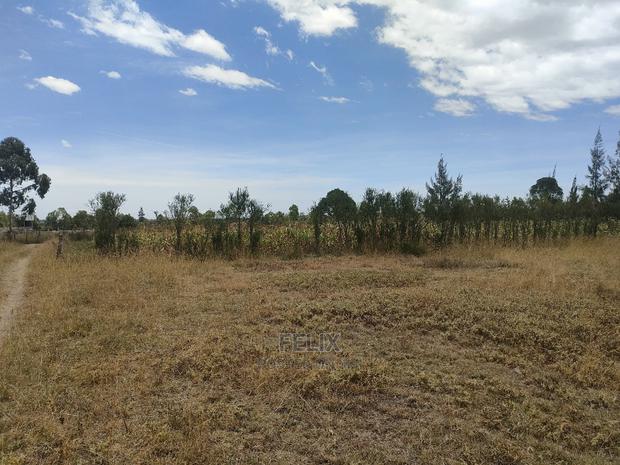 Narumoru/Ndiriti 1/2 Acre - thumbnail 3