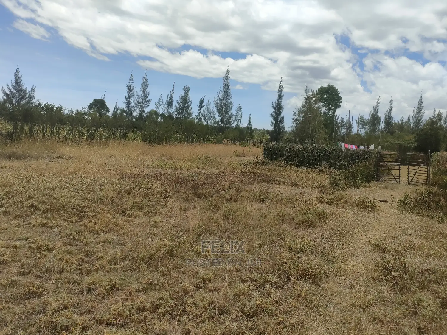 Narumoru/Ndiriti 1/2 Acre