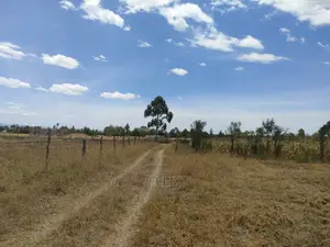 Narumoru/Ndiriti 1/2 Acre