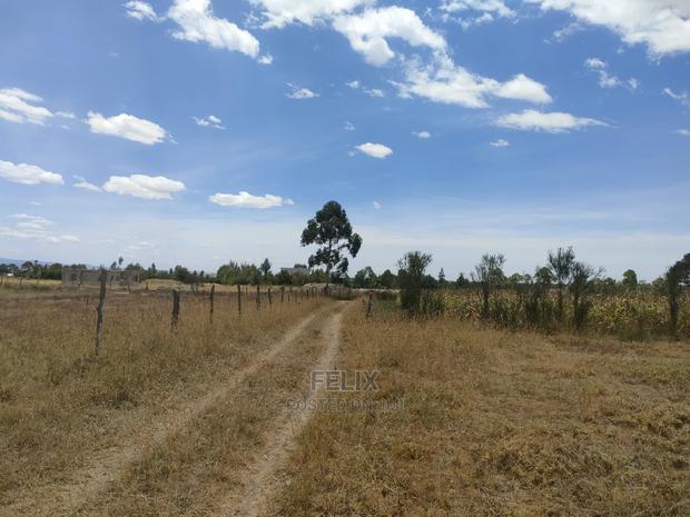 Narumoru/Ndiriti 1/2 Acre - thumbnail 5