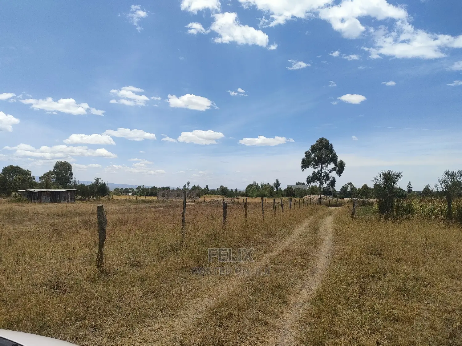 Narumoru/Ndiriti 1/2 Acre