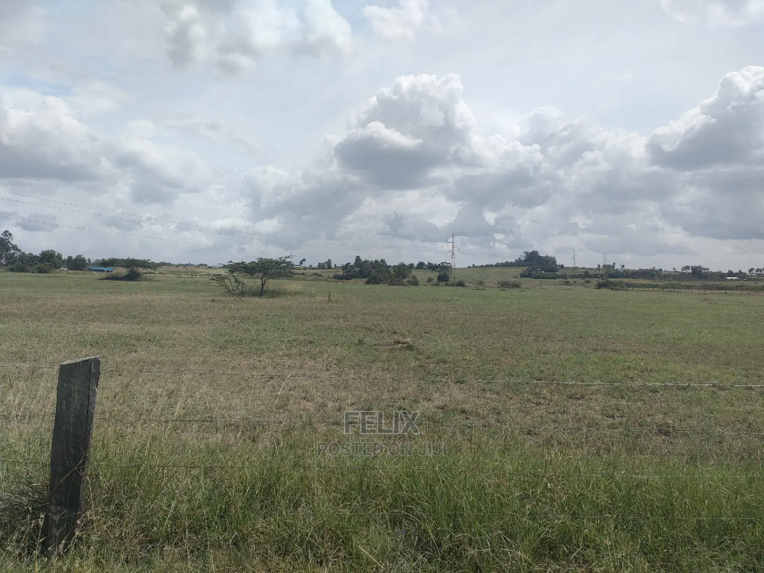 3 Acres Chaka / Narumoru/ Ndiriti
