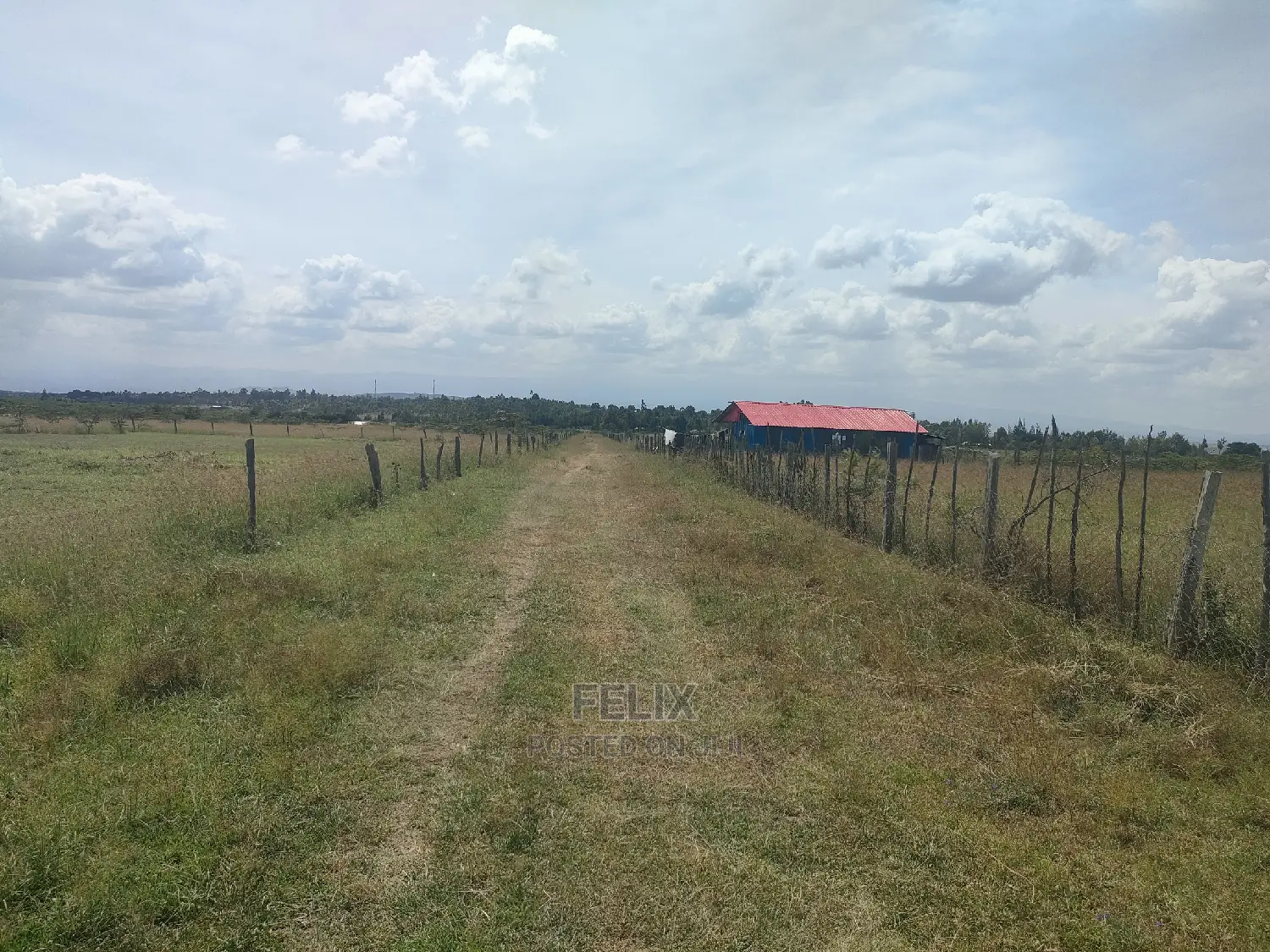 3 Acres Chaka / Narumoru/ Ndiriti