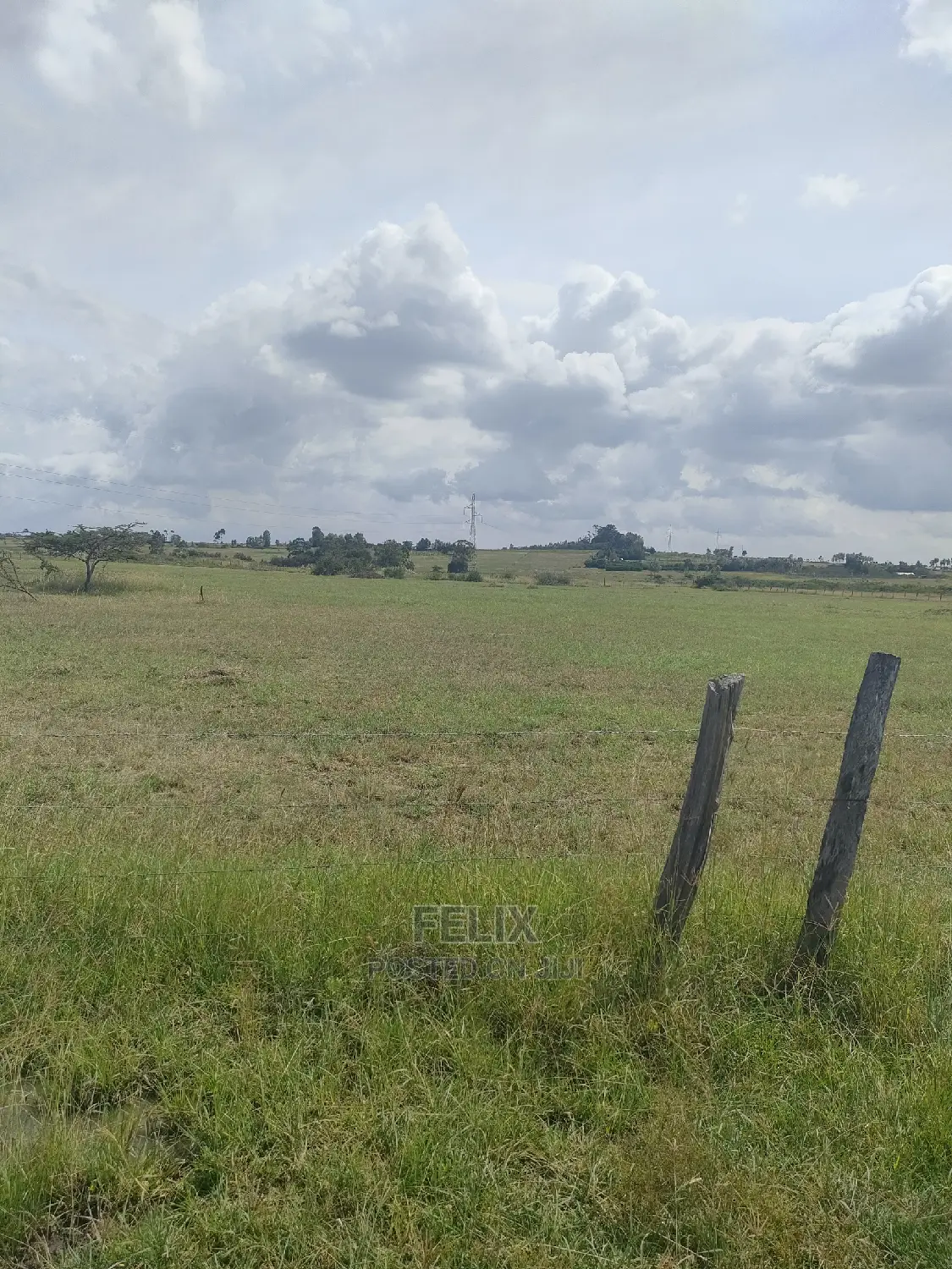 3 Acres Chaka / Narumoru/ Ndiriti