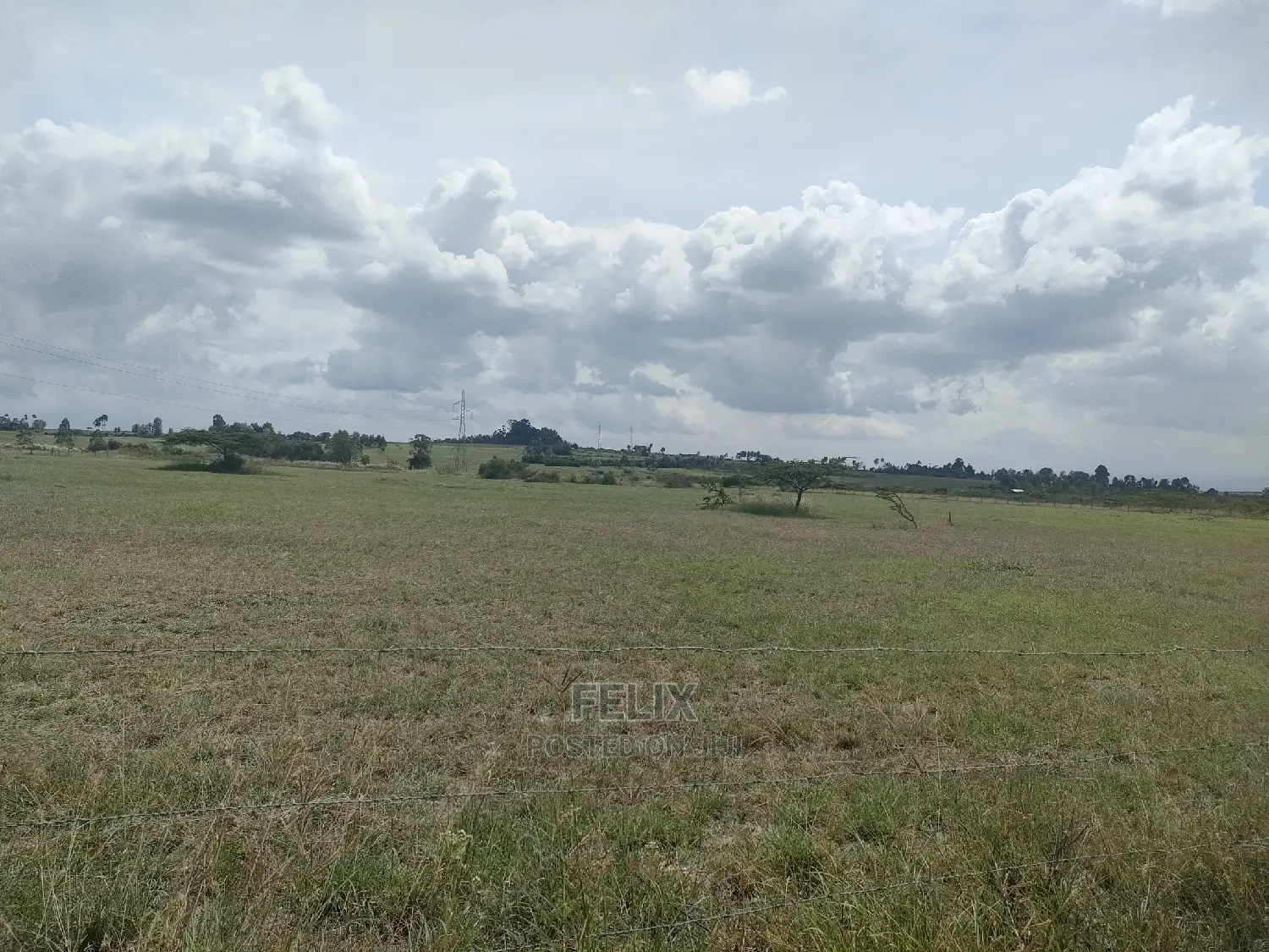 3 Acres Chaka / Narumoru/ Ndiriti