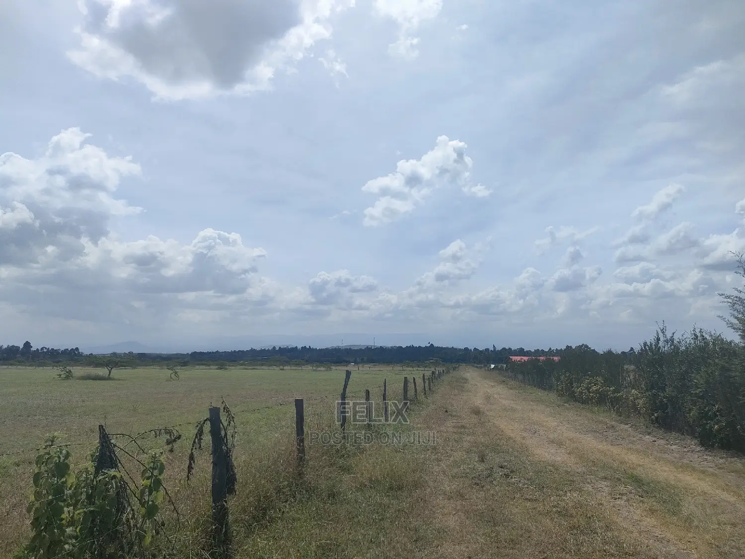 3 Acres Chaka / Narumoru/ Ndiriti