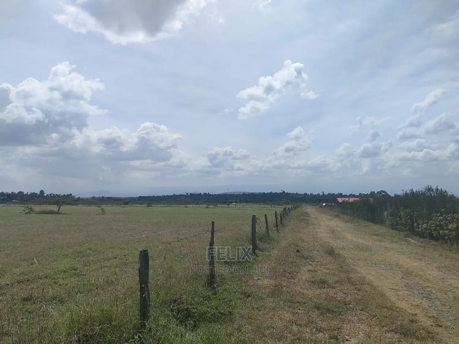 3 Acres Chaka / Narumoru/ Ndiriti