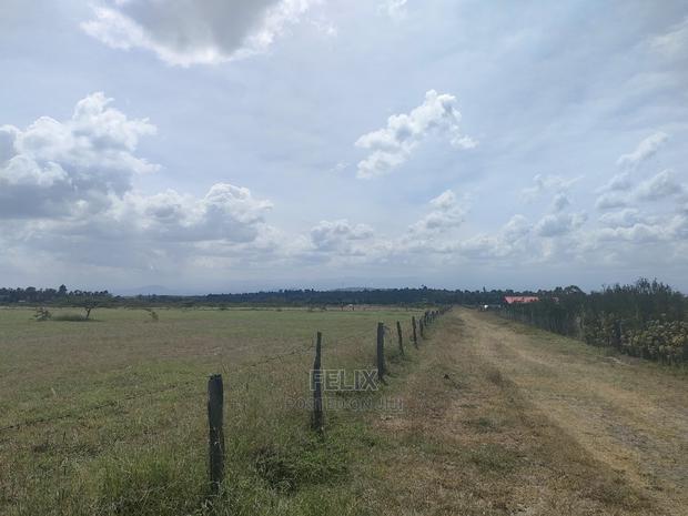 3 Acres Chaka / Narumoru/ Ndiriti - thumbnail 8
