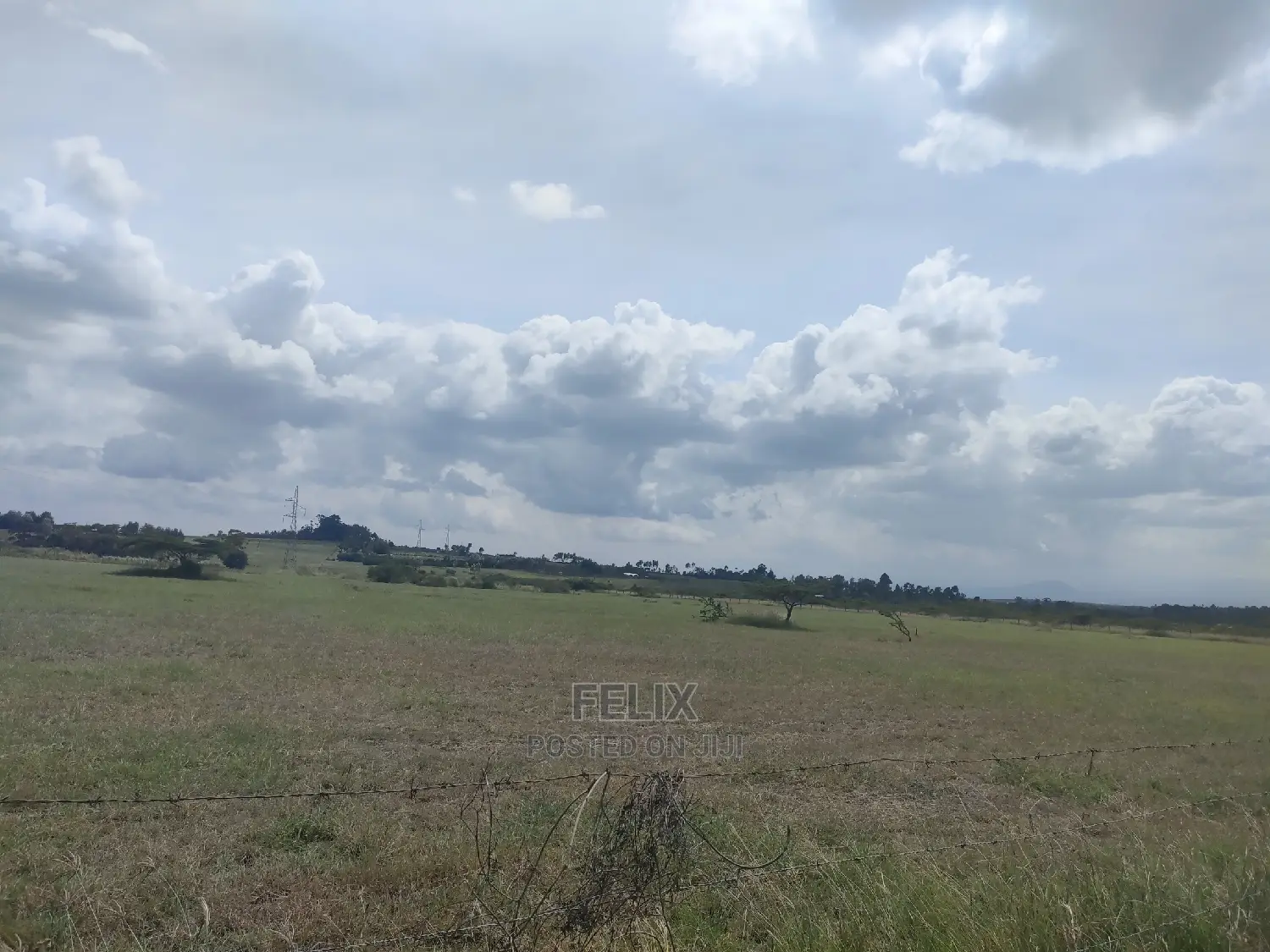 3 Acres Chaka / Narumoru/ Ndiriti