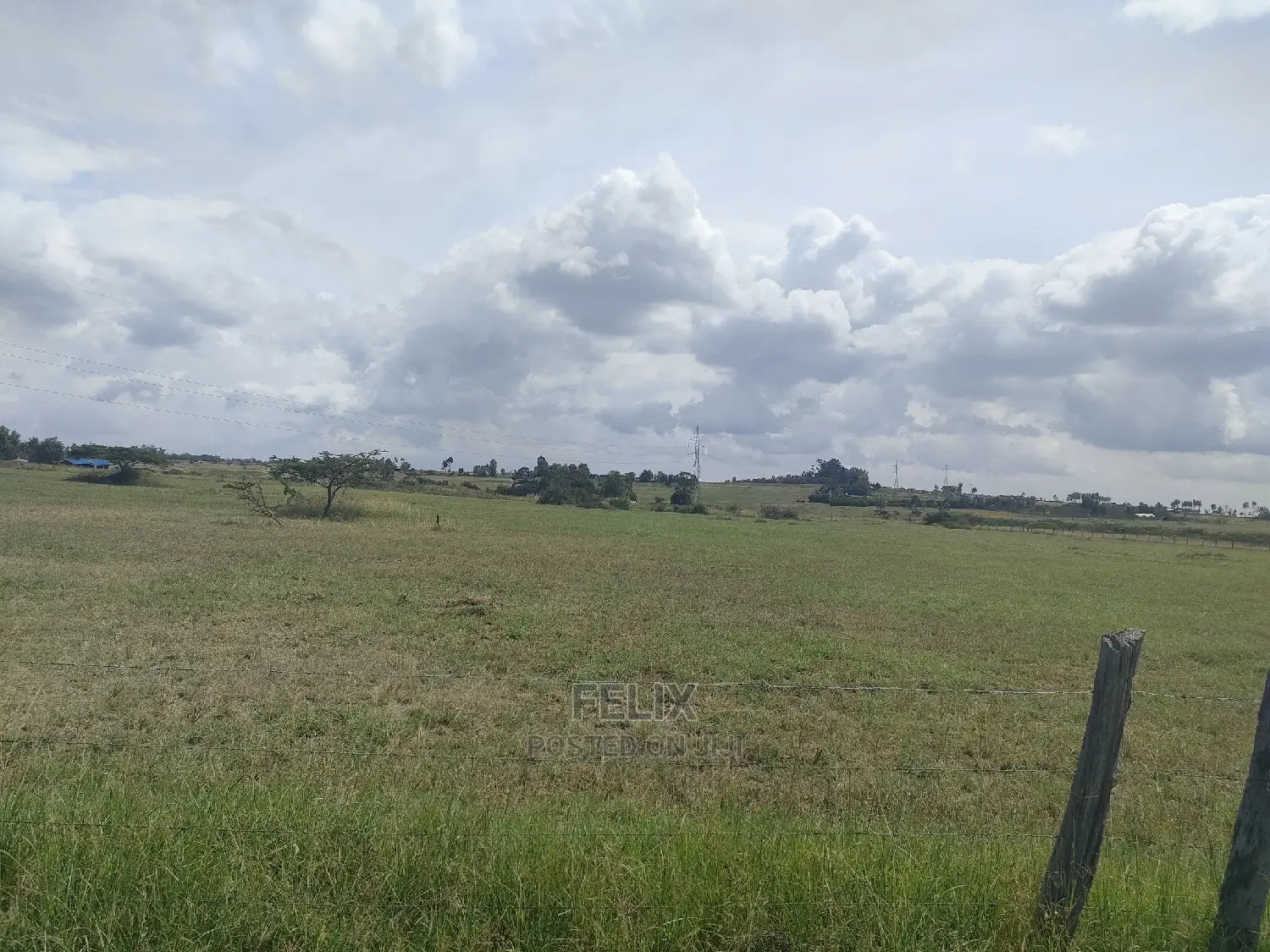 3 Acres Chaka / Narumoru/ Ndiriti