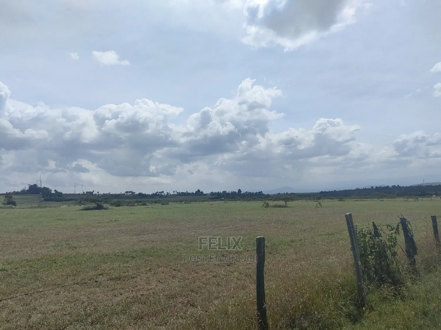 3 Acres Chaka / Narumoru/ Ndiriti