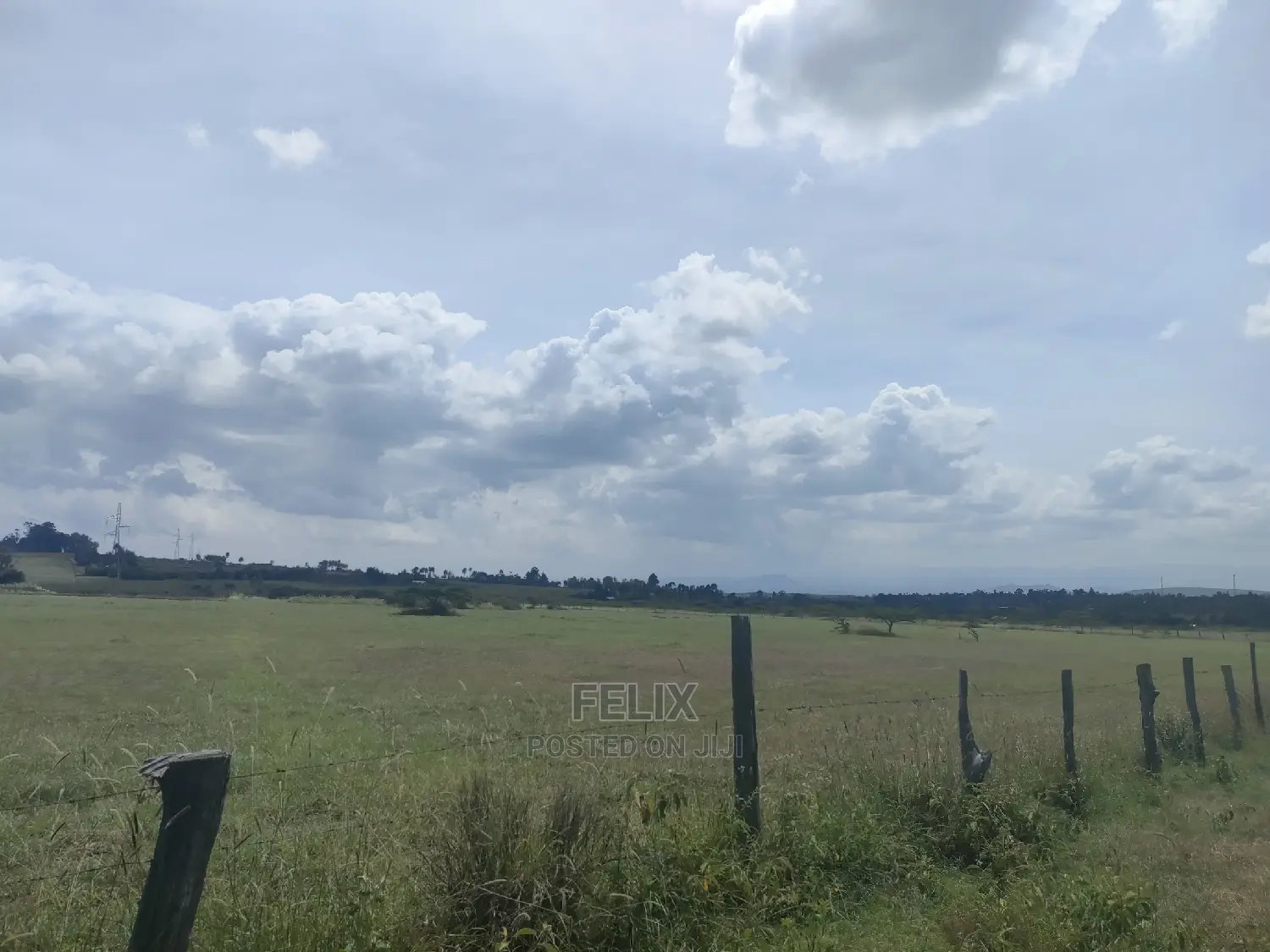 3 Acres Chaka / Narumoru/ Ndiriti