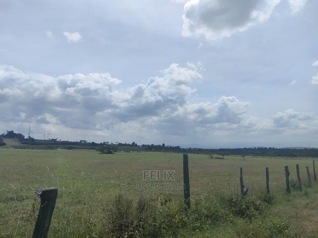 3 Acres Chaka / Narumoru/ Ndiriti - thumbnail 13