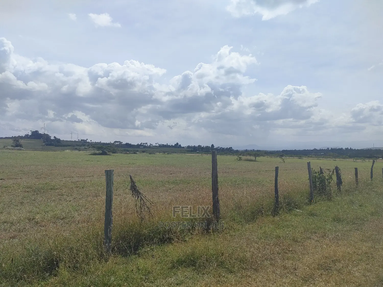 3 Acres Chaka / Narumoru/ Ndiriti