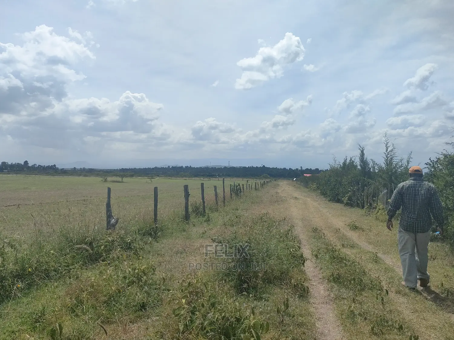 3 Acres Chaka / Narumoru/ Ndiriti