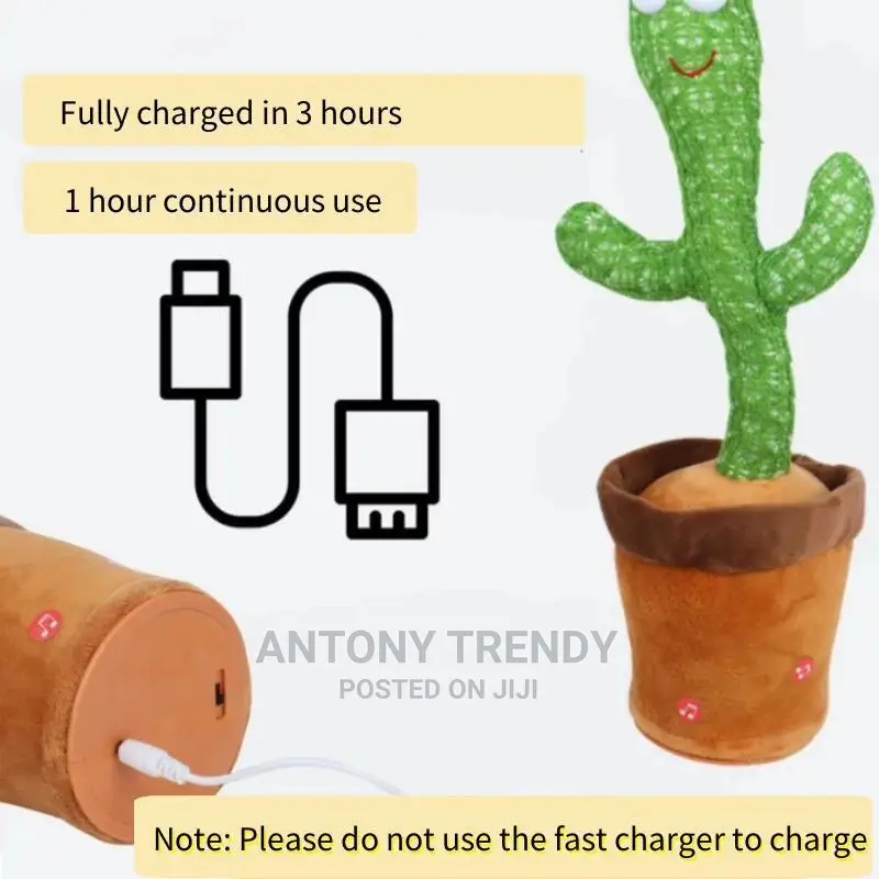 New Arrival Singing Cactus Toy