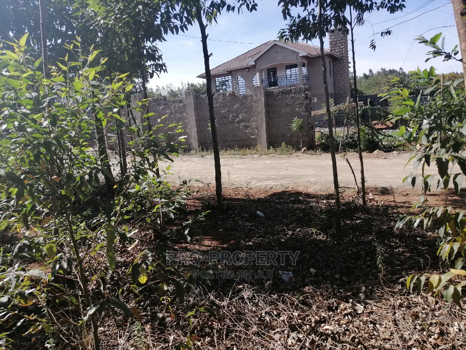Prime 50x100ft for Sale in Kikuyu, Kamangu.