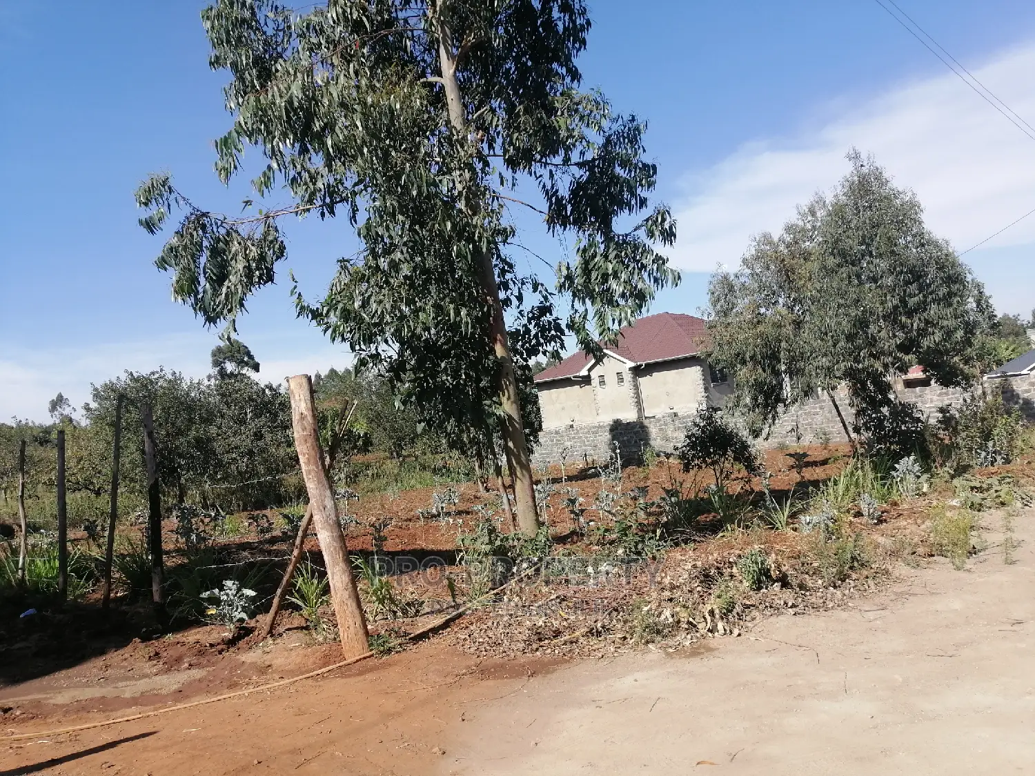 Prime 50x100ft for Sale in Kikuyu, Kamangu.