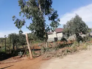 Prime 50x100ft for Sale in Kikuyu, Kamangu.
